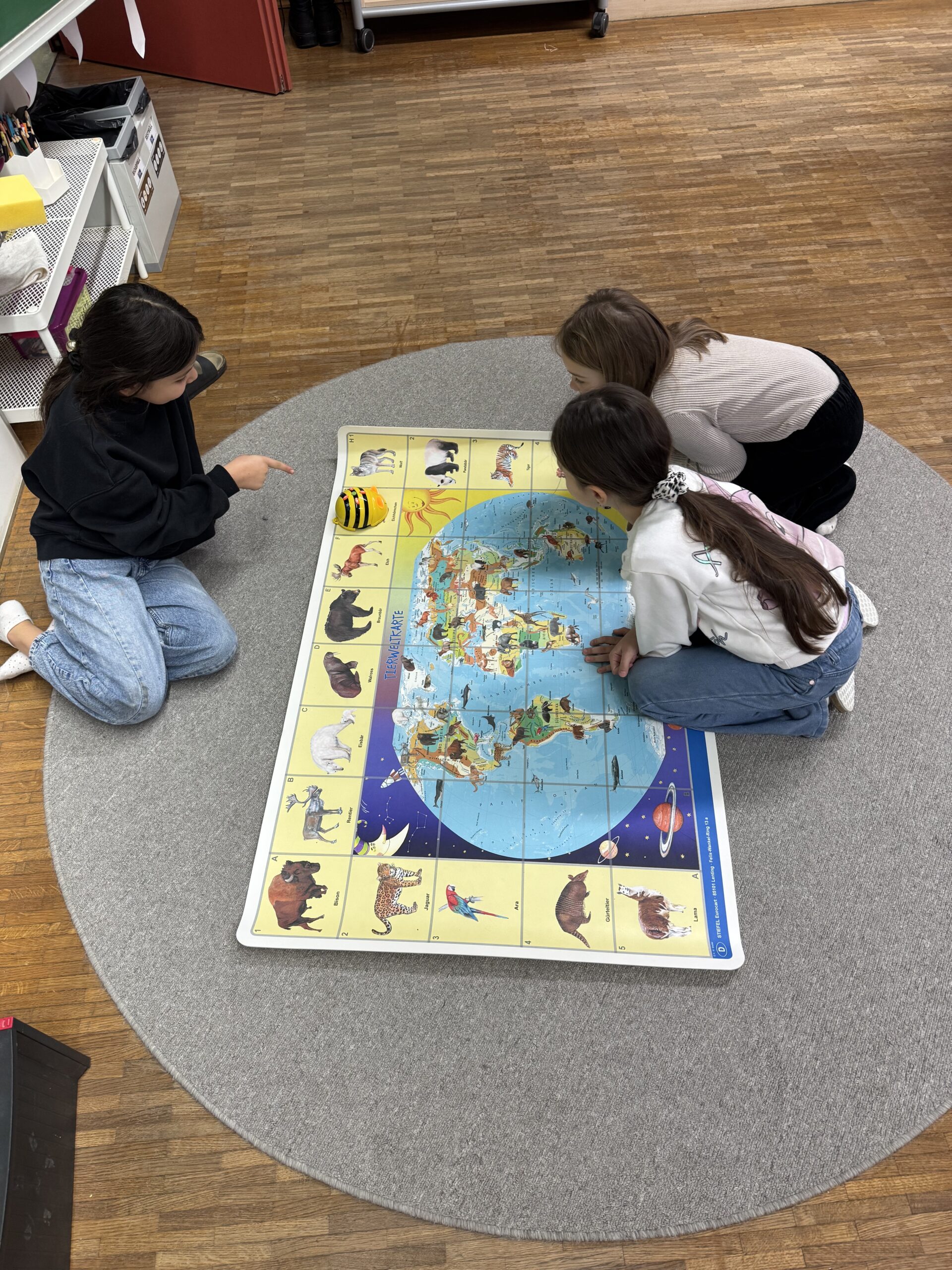 2B Klasse SJ 2025/2026 Fr. Hödl