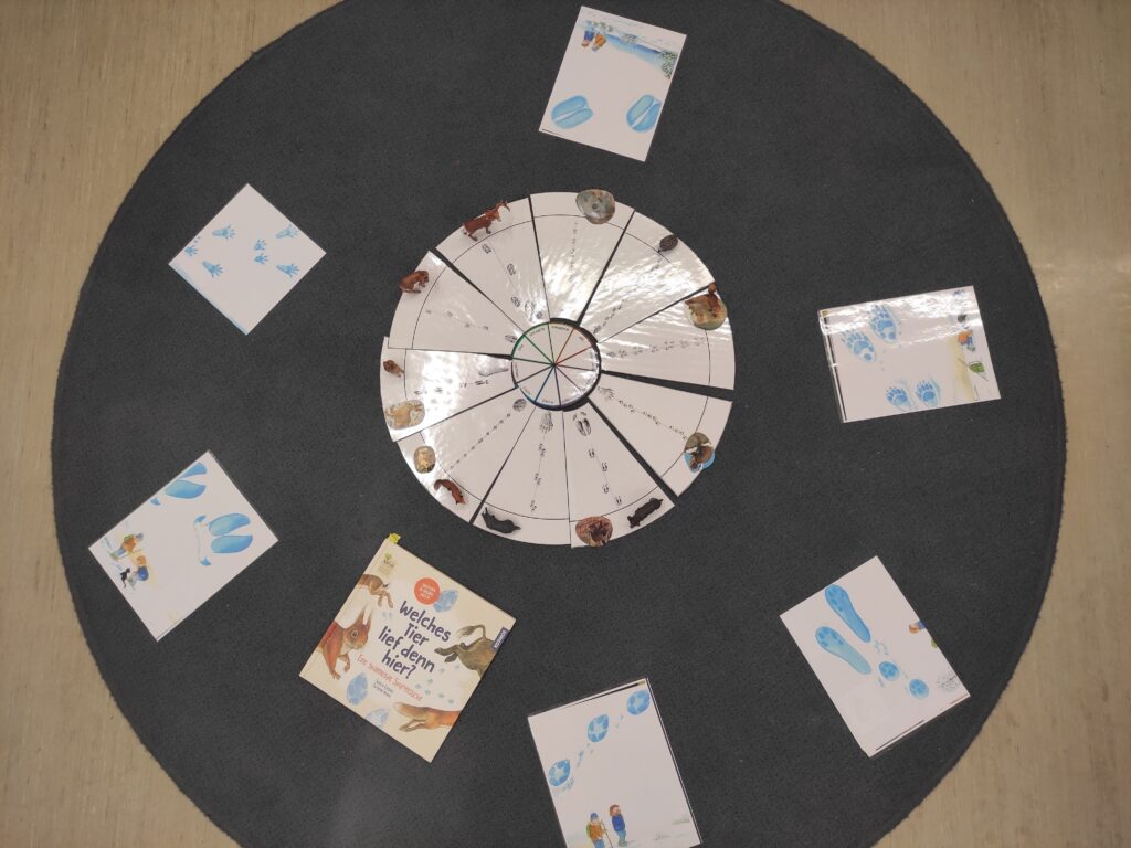 Tiere im Winter_Tierspuren erkennen und zuordnen