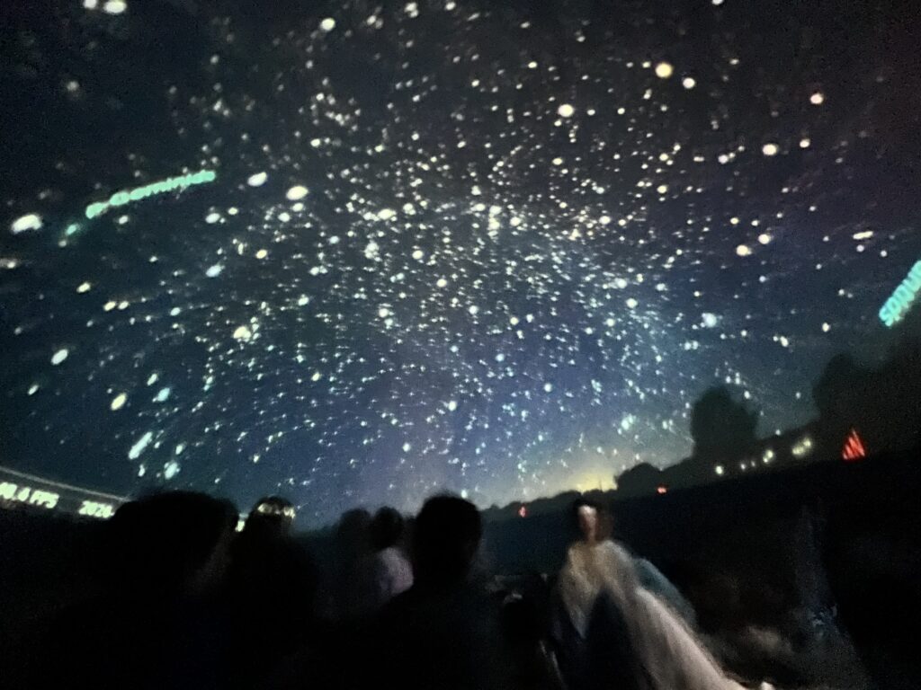 Blick in den Sternenhimmel.