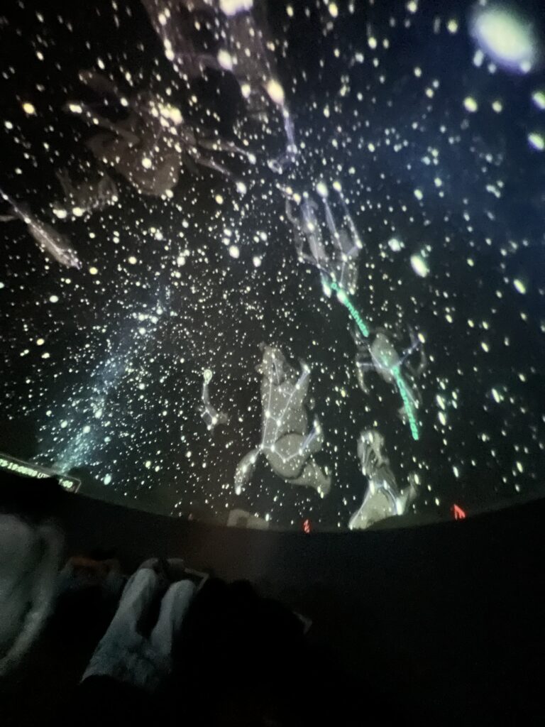 Blick in den Sternenhimmel.