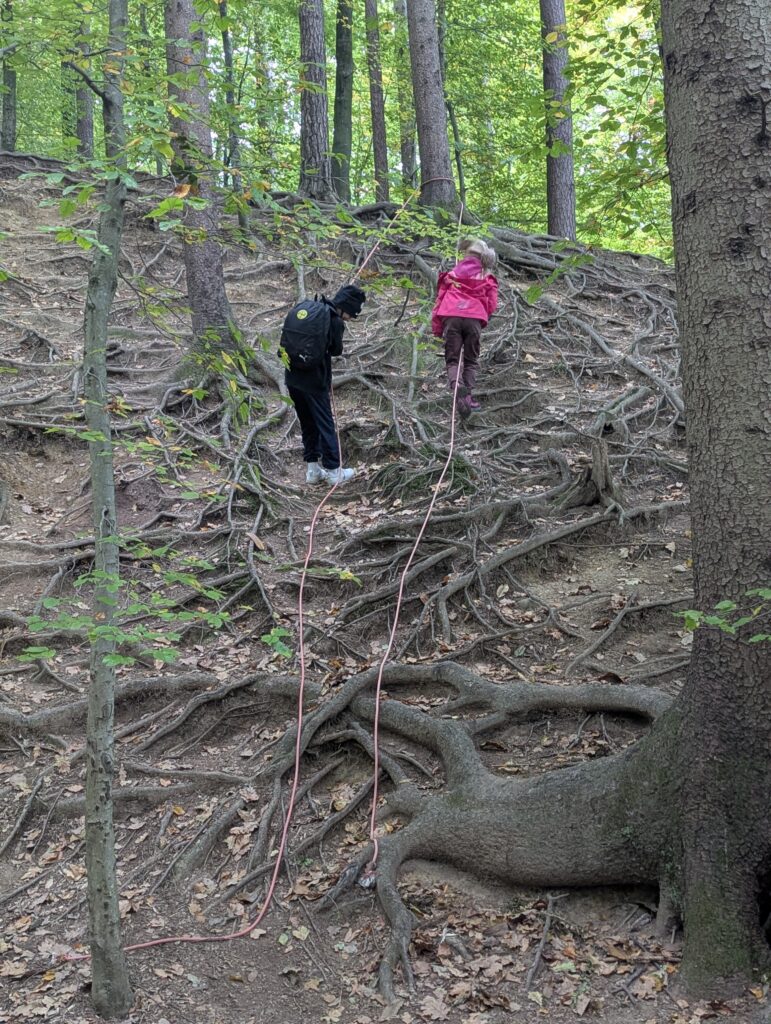 Zwei Kinder seilen sich ab. Ein Seil ist um einen Baum gebunden rundherum sind Wurzeln der Bäume sichtbar. 