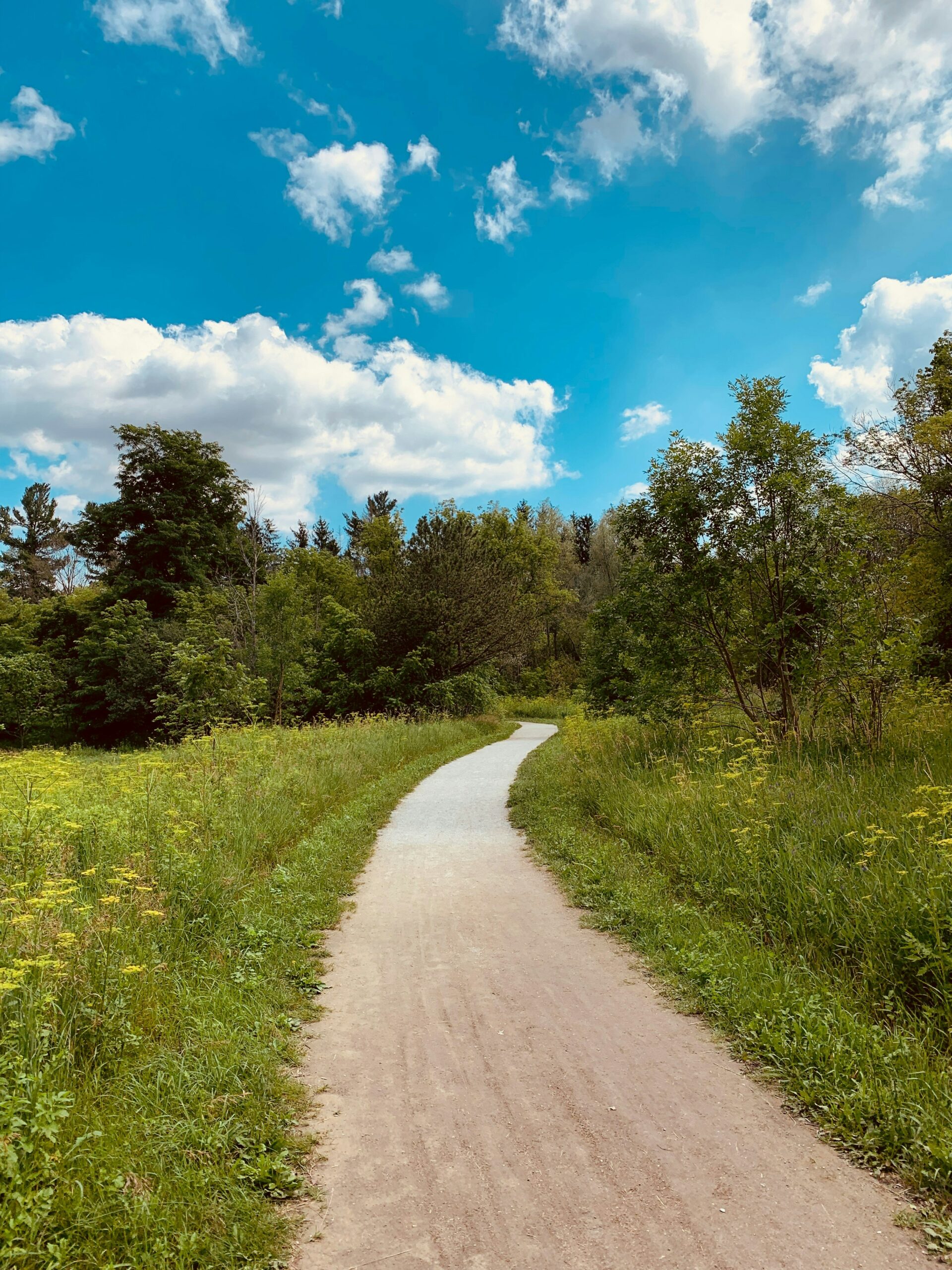 Wanderweg bei blauem Himmel und grünen Wiesen